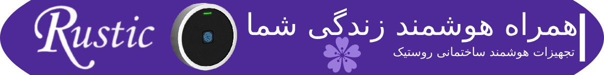 هوشمند سازی روستیک